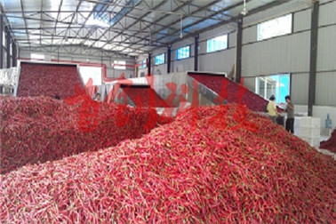 1516757522631623.jpg tr.jpg