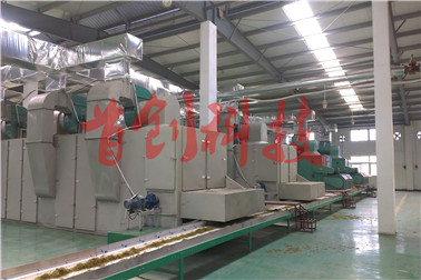 1519278038357792.jpg 浙江金銀花烘干2.jpg