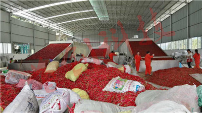 1531722617541358.jpg 微信圖片_20171122113956.jpg