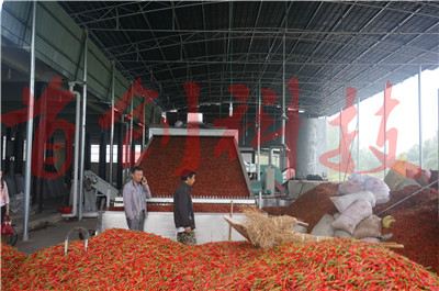 1545027704445231.jpg DSC05676.jpg