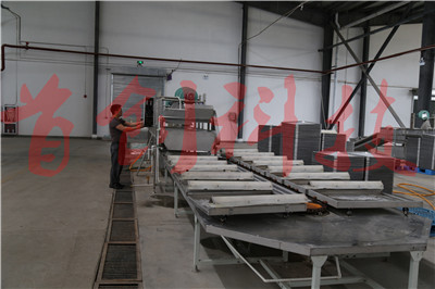 1545724820255482.jpg 枸杞清洗自動裝盤.jpg