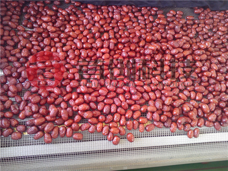 紅棗烘干機(jī)價(jià)格.jpg 紅棗烘干機(jī)價(jià)格.jpg
