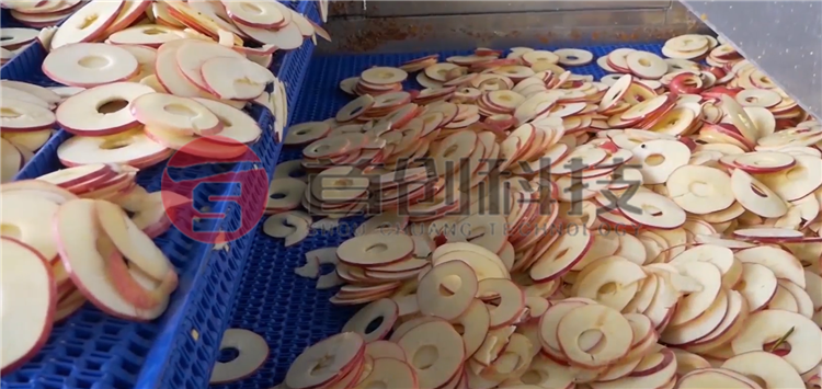 蘋果片烘干設(shè)備.png 蘋果片烘干設(shè)備.png