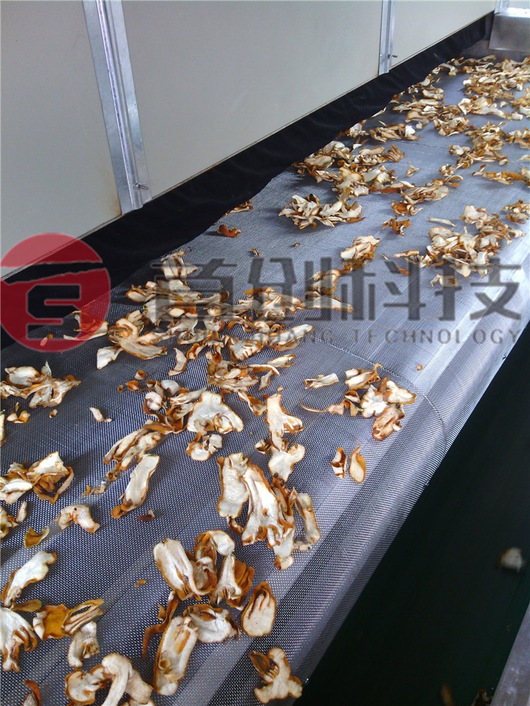 網(wǎng)帶式佛手烘干機(jī).jpg 網(wǎng)帶式佛手烘干機(jī).jpg