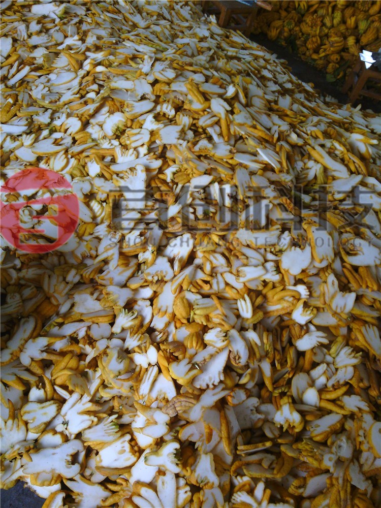 佛手加工設(shè)備.jpg 佛手加工設(shè)備.jpg