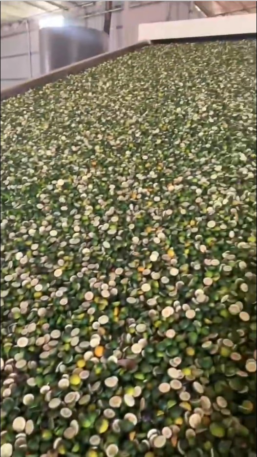 枳殼烘干設(shè)備.jpg 枳殼烘干設(shè)備.jpg