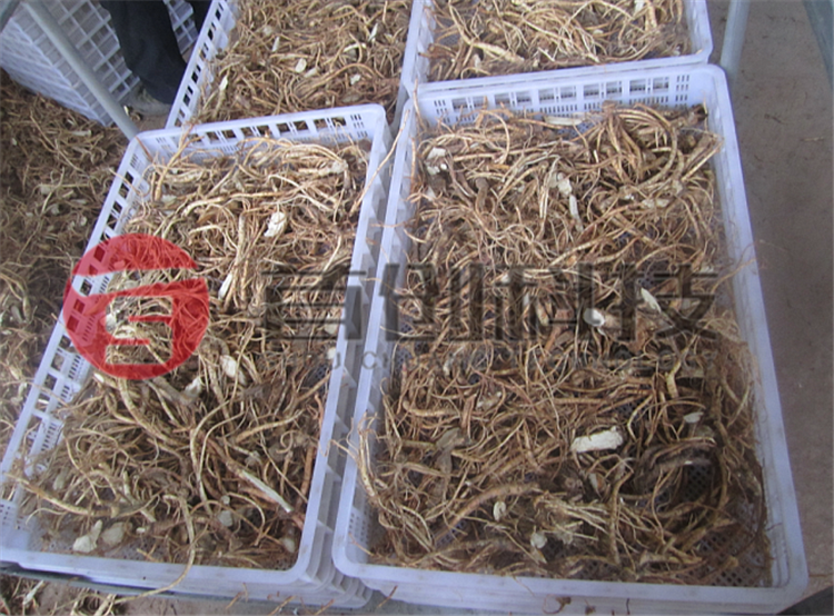 當歸烘干設(shè)備.png 當歸烘干設(shè)備.png