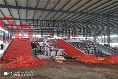 1668497946401423.jpg 鮮辣椒.jpg