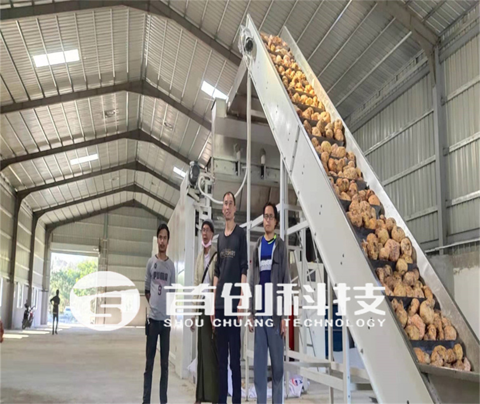 網帶式魔芋加工設備.jpg 網帶式魔芋加工設備.jpg