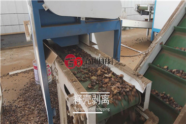 1675842360794064.jpg 籽殼剝離.jpg