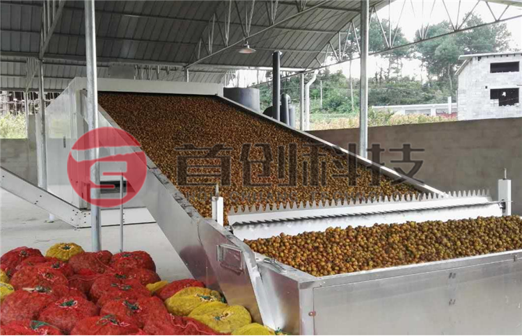 大型生姜烘干機.png 大型生姜烘干機.png