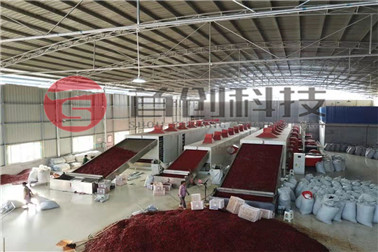 1677573661306669.jpg 微信圖片_20181211135123_副本.jpg