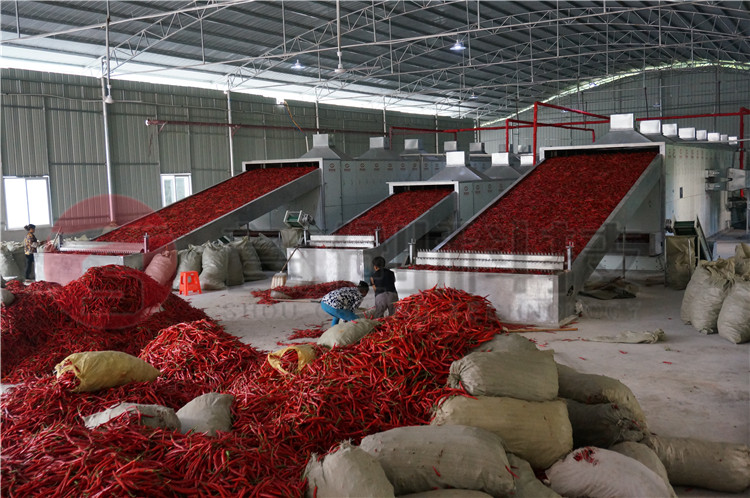 專業(yè)辣椒烘干機(jī)廠家定制.jpg 專業(yè)辣椒烘干機(jī)廠家定制.jpg