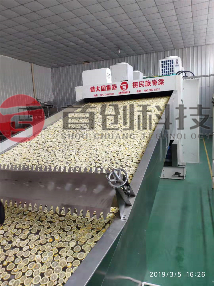 網帶檸檬片加工設備.jpg 網帶檸檬片加工設備.jpg