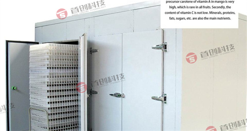 菊花烘干房.jpg 菊花烘干房.jpg