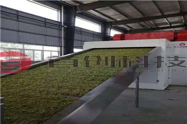 1683525157383989.jpg 金銀花 (2)_副本.jpg